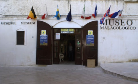 visitare museo malacologico vieste gargano